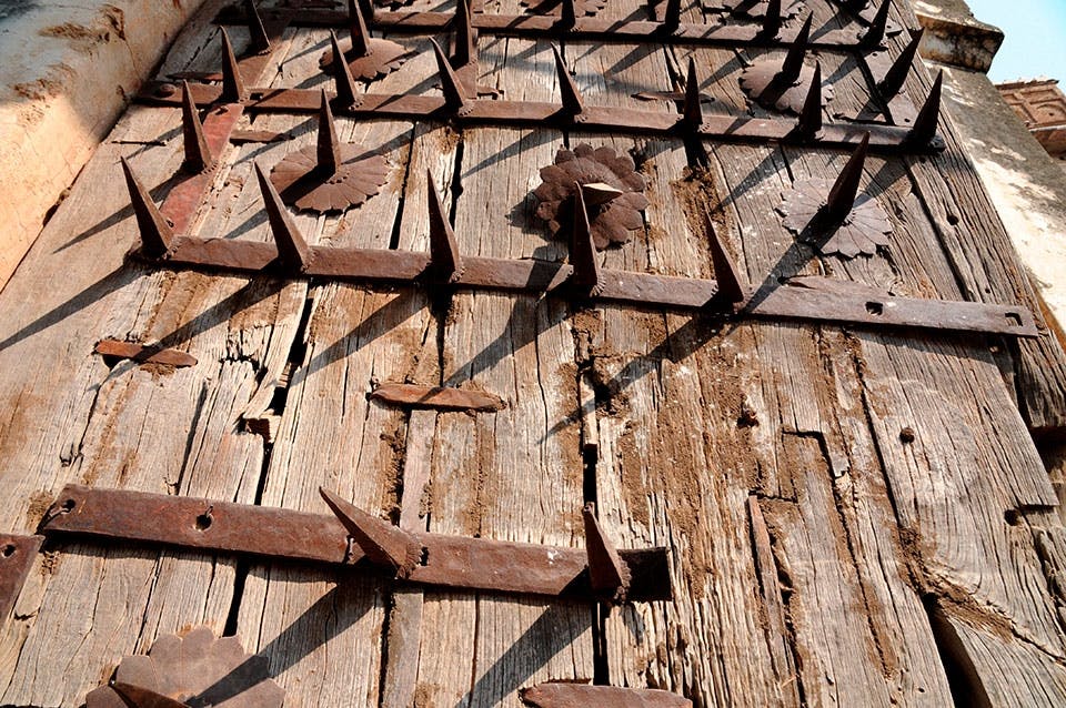 elefanthinder stadsport indien elefanthinder stadsport indien